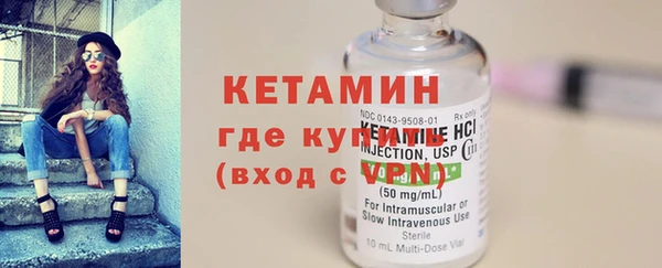 индика Няндома