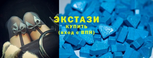 индика Няндома
