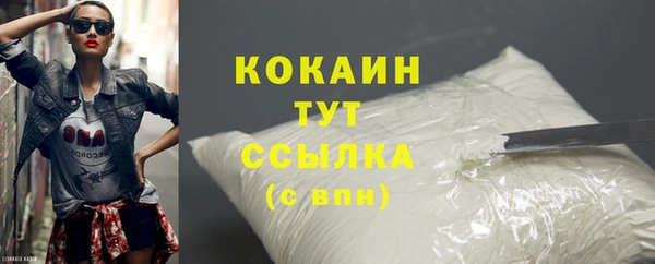 бошки Новозыбков