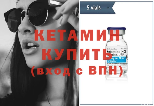 крисы Новодвинск