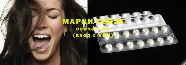 крисы Новодвинск