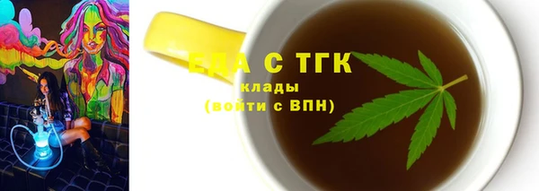 индика Няндома