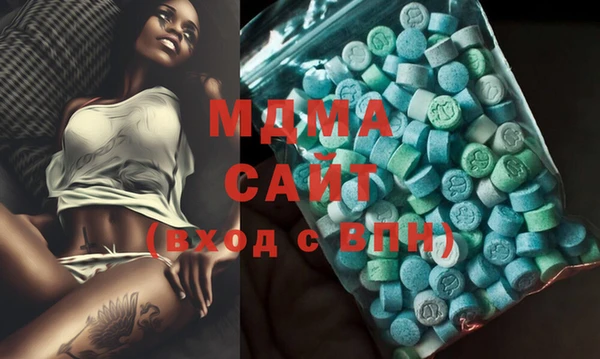 индика Няндома