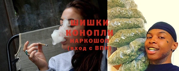 индика Няндома