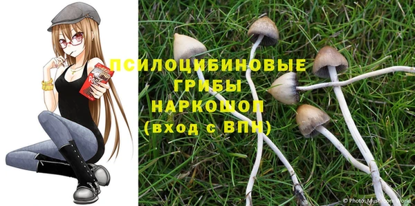 бошки Новозыбков