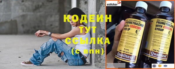 индика Няндома