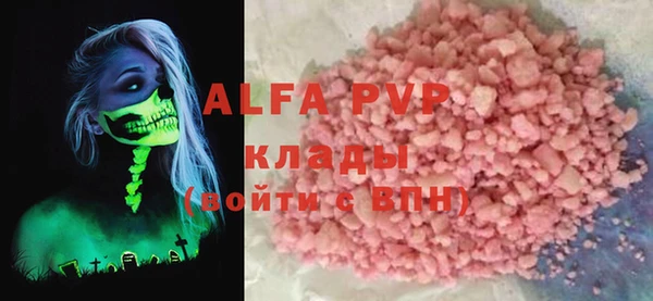 крисы Новодвинск
