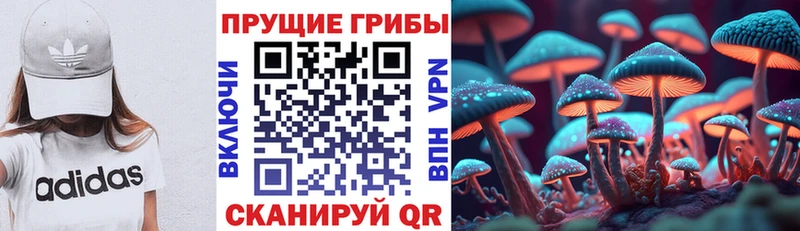 Галлюциногенные грибы Cubensis  купить наркотики цена  Нариманов 